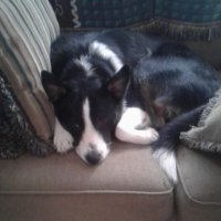 frmgrl42 (@frmgrl42) 's Twitter Profile