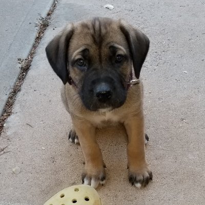 Wyoming native.  Cowboy (and Cowgirl) fan!