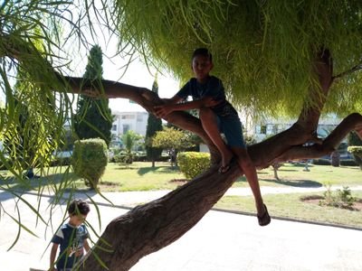 Hajsalemfethi1's profile picture. gestionnaire conseiller