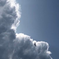 # (@tap_o_) Twitter profile photo