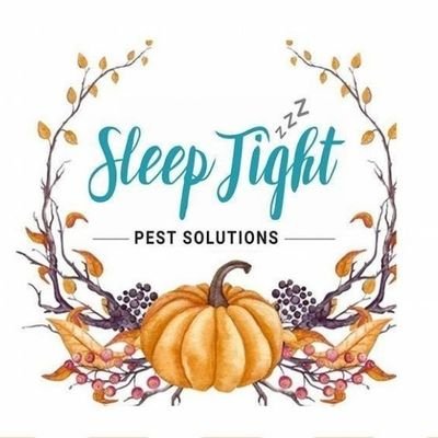 We can treat your bed bugs, ants, lawns, termites, and any other pests you may have! Our services do not stop when we leave your home. We are just a call away!