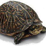 omarflo34580083's profile picture. Just keep join