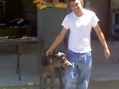 pollo_leal's profile picture. 