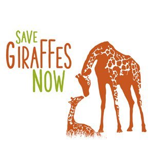 Our Mission is to save giraffes from extinction so they can live feely and safely in the woodlands and savannas of their native Africa.
