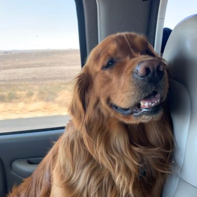 hulaman7's profile picture. 