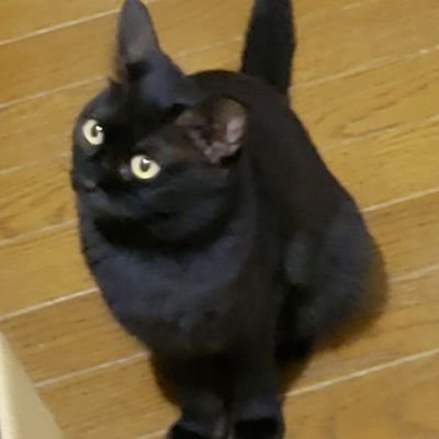 NZILmCISqR8UQ6j's profile picture. 