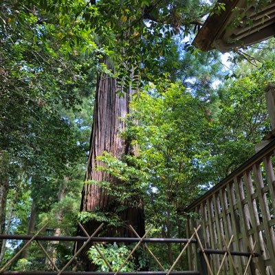 anniejaworld's profile picture. 愛媛県と福島県のハーフで東京生まれ愛媛育ちです😁 四国大好き！ 日常の色んなジャンルを『広く浅く』をモットーでやってます🤣 すぐには返せませんけど、お気軽にお願いします。😁 I am doing various genres with a wide and shallow motto.