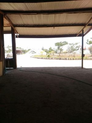 Rean86002322's profile picture. Rean