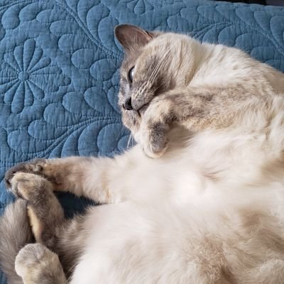 rorro_man21's profile picture. 