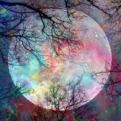 Yeil99814464's profile picture. 