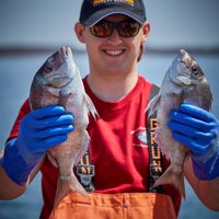 Joe Langan (@ja_langan) 's Twitter Profile