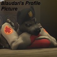 Bl4udari Profile Picture