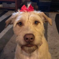 ~ Valerie ~ (@mysvz) 's Twitter Profile