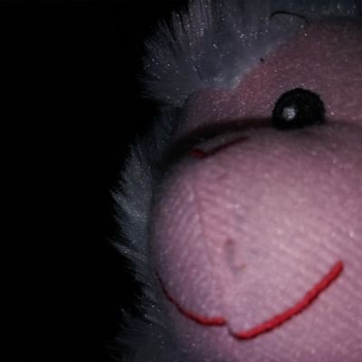 chessnut_pp's profile picture. 