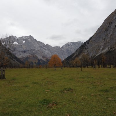 KevinBichler's profile picture. 