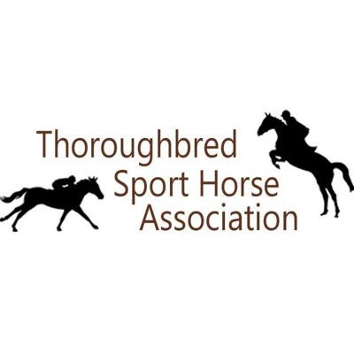 The Thoroughbred Sport Horse Association has been formed to help create a Life After Racing for retired Thoroughbred Race horses.