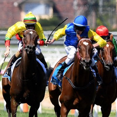 Accatips4's profile picture. Australian and British horse racing tipster. Proofing my tips for the first 2 weeks on Twitter.
