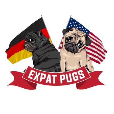 2 American pugs 🐶🐶 living abroad in Germany. 
🇺🇸 ➡️ 🇩🇪 Follow our adventures in #Deutschland!