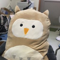 OUCC部鳥bot (@botoucc) 's Twitter Profile