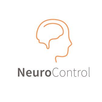 NeuroControl - CoRE of IMDI - Center of Research Excellence of the Dutch Innovative Medical Devices Initiative