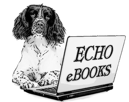 EchoEbooks's profile picture. eBook creation, comprehensive digital promotion and management for Publishers. Director @jezweb