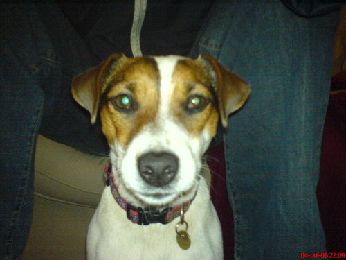 GraemeTrautmann's profile picture. 