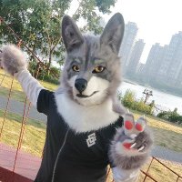 五十狼风呤fongling(Commission Open) (@fonglingwolf) 's Twitter Profile Photo