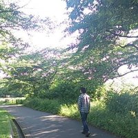 宗悟　Shugo-Isi(@shugo_isi) 's Twitter Profile Photo