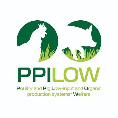 PPILOW Profile