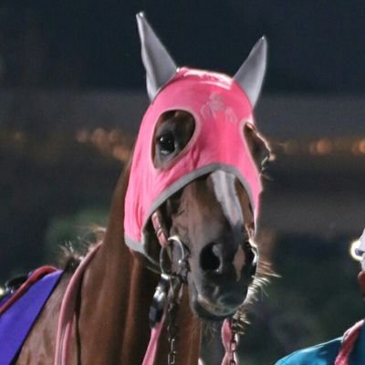 主に関東の競馬場に出没して、馬券には関係ない写真や一言をアップしてます。
素人写真なので、ピンボケやおかしな構図などばかりですがご容赦下さい。

馬のことだけじゃなくて音楽やスポーツ、漫画アニメの話もします。
基本的にオタクです😅

無言フォロー申し訳ありません。絡みが不得意なコミュ障ですが、よろしくお願いします🙇