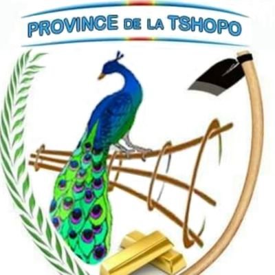 La province de la Tshopo est depuis 2015 l'une des 26 provinces que compte la RDC à la suite du démembrement de la Grande Province orientale.