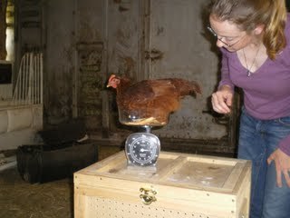 anna_snipes's profile picture. 