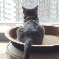 aque (@aqueaque) Twitter profile photo