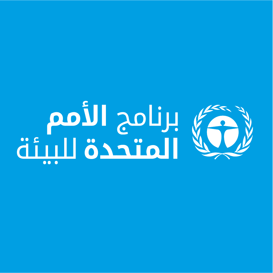 UNEP_Arabic Profile Picture