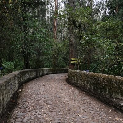 dukedkenda's profile picture. 