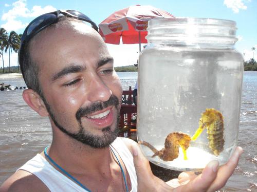 aurelioprado's profile picture. 