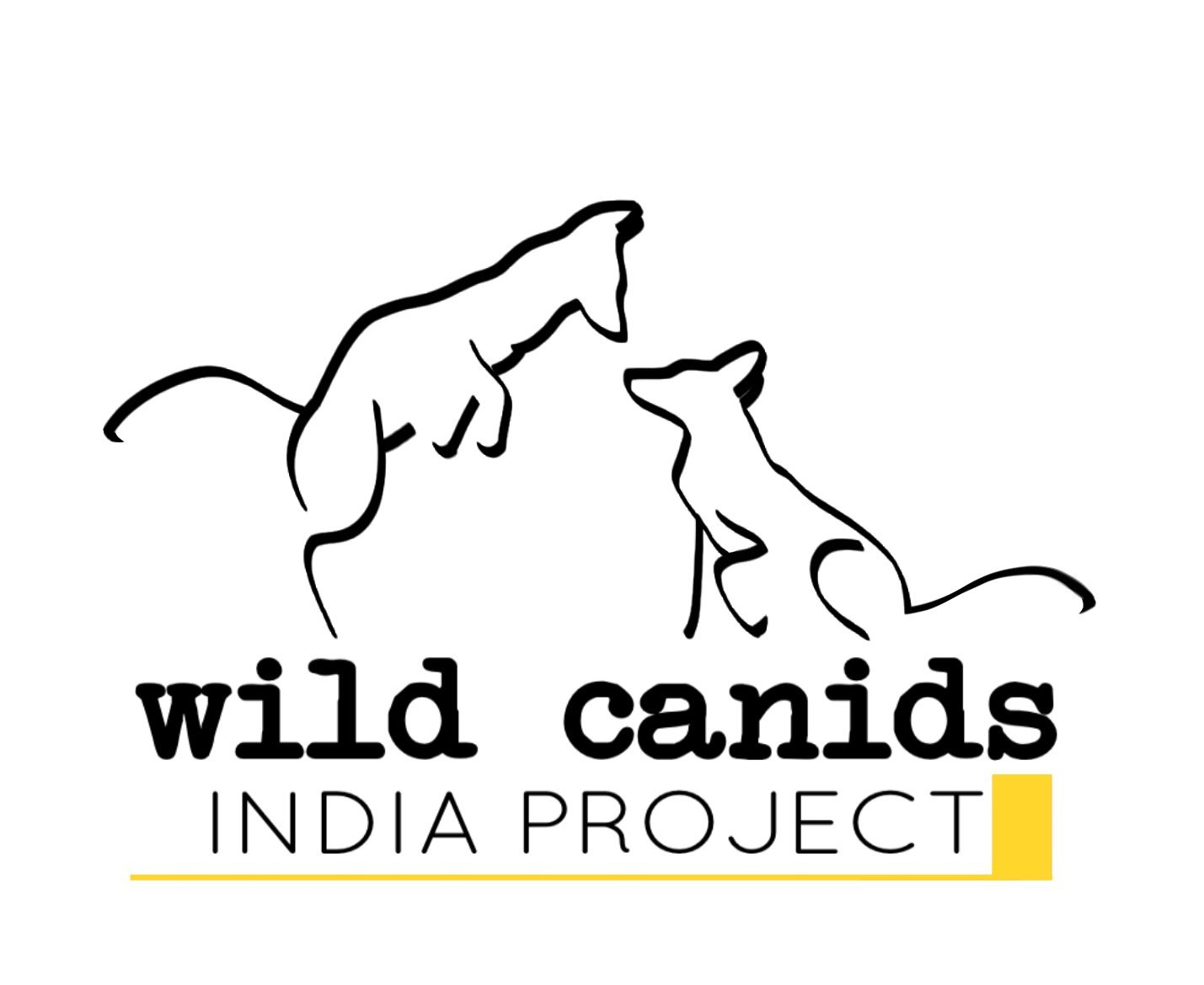 Wild Canids–India Projectさんのプロフィール画像