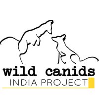 Wild Canids–India Project(@wcip_in) 's Twitter Profile Photo