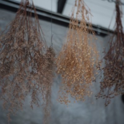 Pearpe's profile picture. Pear |19 |