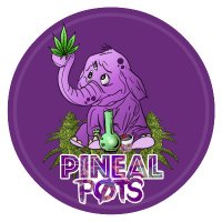 Pineal(@PinealPots) 's Twitter Profile Photo