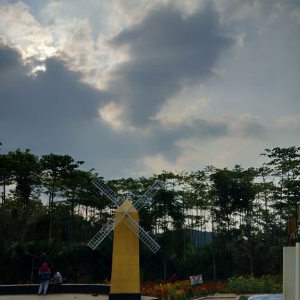 eRn100146884's profile picture. 