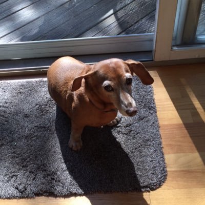 JAGMAN58's profile picture. Conservative, Christian, Constitution, Patriot