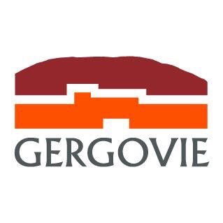 MuseeGergovie Profile Picture