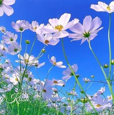 hyesun38572026's profile picture. 