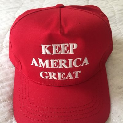 Retired EE, Christian, patriot, Trump won, Ham Radio, av geek, pilot wanna be, astronomy buff. Married. Follows are not endorsements. NO DM’s