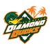 @CCDiamondDucks