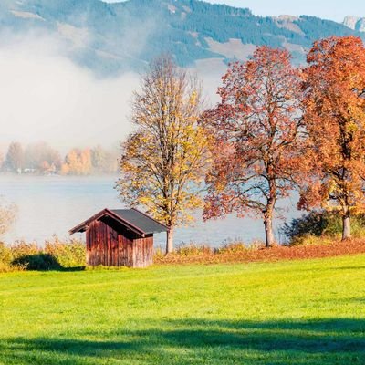 glshgms's profile picture. 