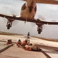 Tim Dowd (@timdowd12) 's Twitter Profile