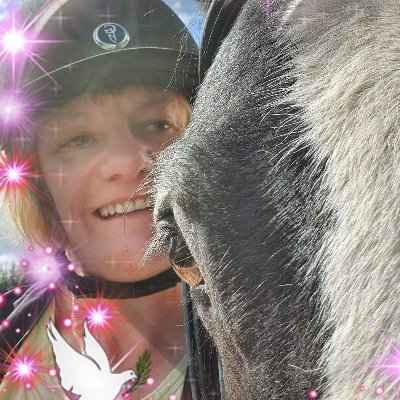 KittymoreStud's profile picture. Love my life, love my horses, love photography, need more hours in the day!