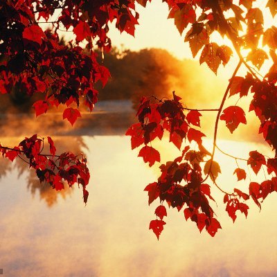 LauraO9813's profile picture. 